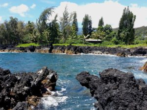 Awapuhi Adventures guiding you across Maui
