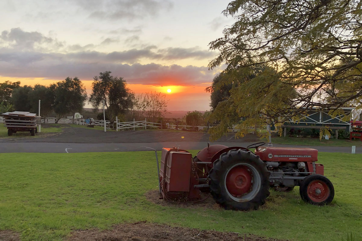 A red tractor sits on a grassy area near a paved path, with a tree to the right. Perfect for an adventure, the scene resembles a tranquil Maui tour setting. In the background, the sun is setting over the horizon, casting a warm glow over trees and white fences.