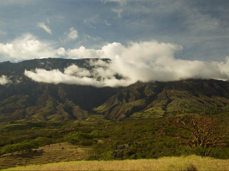 A vast mountainous landscape under a partly cloudy sky. Sunlight highlights the slopes dotted with greenery, reminiscent of an adventurous Maui tour. Wispy clouds hover near the peaks, while a dry tree stands in the foreground.