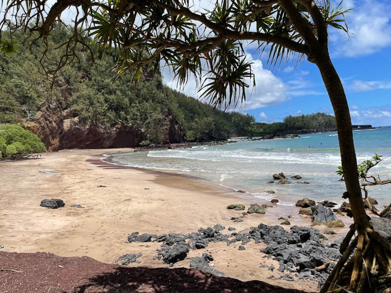 A tranquil beach scene in Maui with gentle waves lapping at the sandy shore. The beach is surrounded by lush green vegetation and rocky outcrops. A tree frames the foreground, and a bright blue sky with some clouds is overhead, inviting you to start your adventure.
