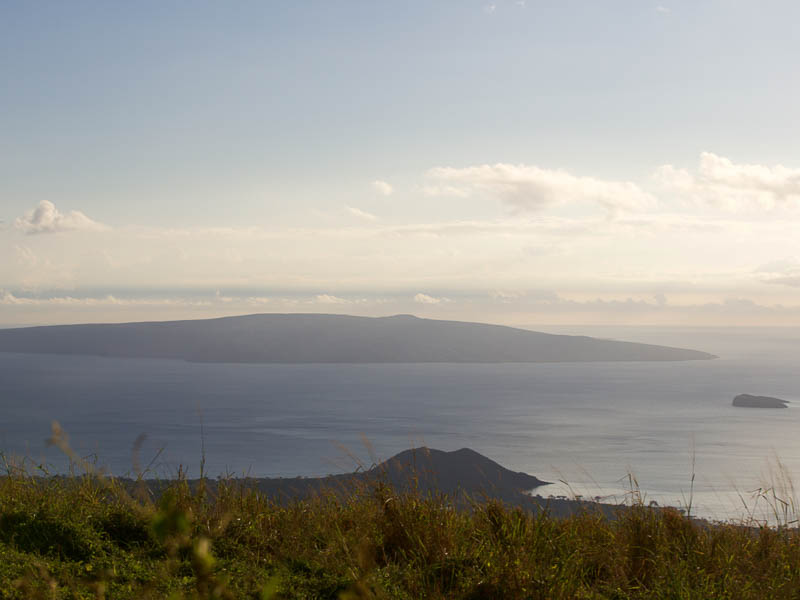 A scenic view of a calm ocean with a distant island, reminiscent of a Maui tour, under a hazy sky. In the foreground, grassy terrain overlooks the water. Fluffy clouds are scattered across the sky, and the horizon is softly lit by the sun.