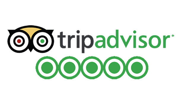 The Tripadvisor logo features an owl face design with green and red eyes, accompanied by the word "tripadvisor" in lowercase—"trip" in black and "advisor" in green. Below, five green circles with white centers symbolize star ratings, perfect for booking your custom tour.