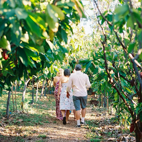 Three people embark on an adventure along a path in a lush orchard. The sun casts dappled light through the leafy trees around them. The ground is covered with dry leaves, and the sky is clear. This private tour offers a scene both peaceful and vibrant, reminiscent of Maui's serene beauty.