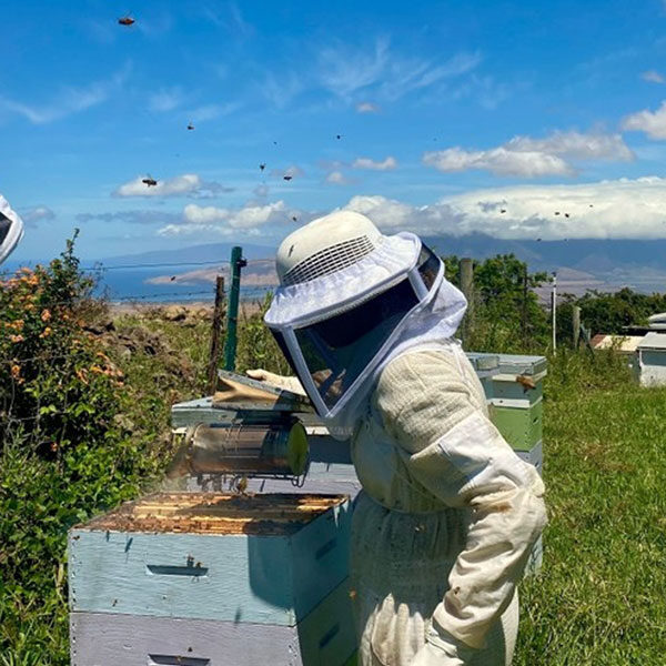 A beekeeper in protective gear stands near a beehive, tending to bees. The scene resembles a custom tour experience with a clear blue sky, lush green vegetation, and distant mountains offering a scenic backdrop. Flying bees gracefully buzz around the attentive beekeeper.