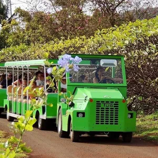 Bright green tram farm tractor with wagons of people being pulled going on a lush green farm tour.