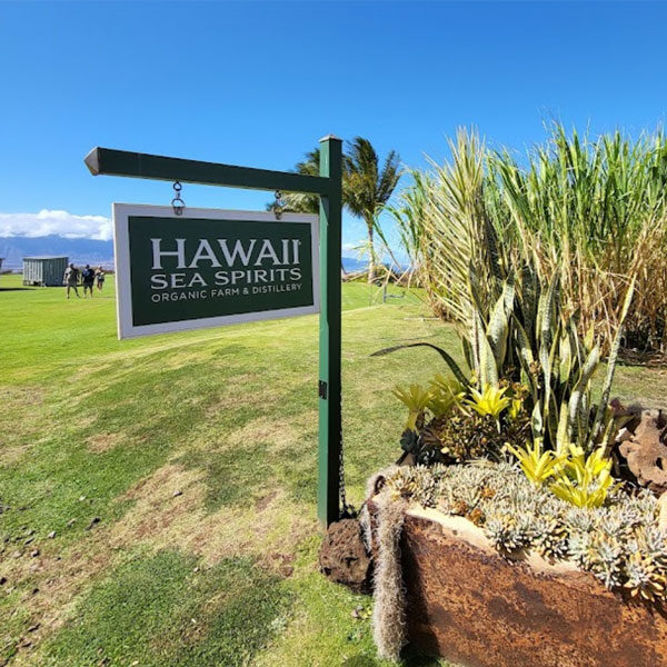 A green sign reads "Hawaii Sea Spirits Organic Farm & Distillery" on a lush green lawn under a clear blue sky. Nearby, tall grass and tropical plants are planted in a decorative arrangement. Palm trees are visible in the background, inviting you to enjoy an exclusive Maui tour experience.