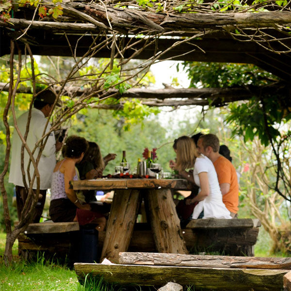 People sitting around a rustic wooden table under a vine-covered pergola, savoring a meal that feels like an adventure in Maui. The lush greenery surrounds the setting, with bottles and dishes adding to this intimate private tour vibe.