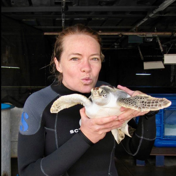 A person in a wetsuit holds a small sea turtle, smiling and gently pursing lips towards it. The turtle has flippers extended, both captured on a private tour in an indoor setting with walls and equipment in the background.